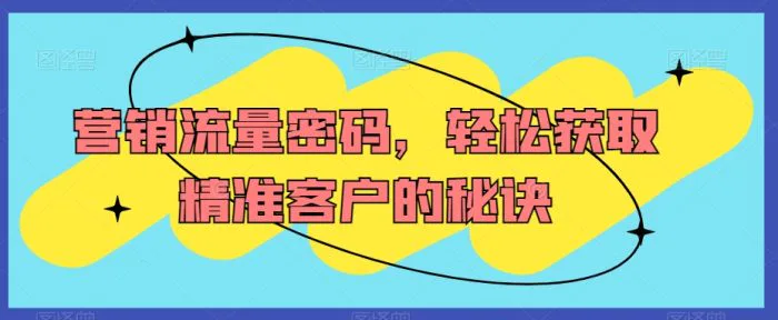 营销流量密码，轻松获取精准客户的秘诀-副业城