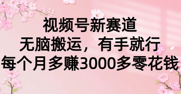 （9278期）视频号新赛道，无脑搬运，有手就行，每个月多赚3000多零花钱-副业城