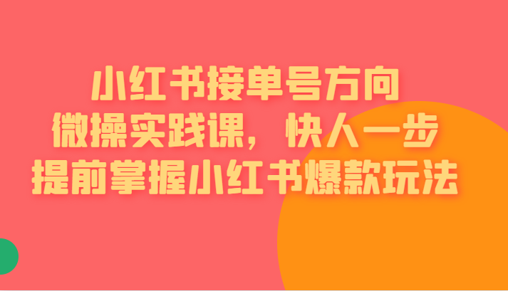 [小红书]小红书接单号方向微操实践课，快人一步提前掌握小红书爆款玩法-副业城