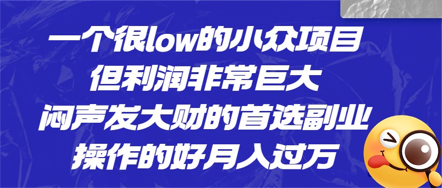 [抖音快手]一个很low的小众项目，但利润非常巨大，闷声发大财的首选副业，操作的好月入过万-副业城