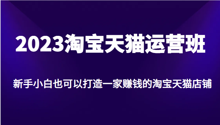 2023淘宝天猫运营班，新手小白也可以打造一家赚钱的淘宝天猫店铺-副业城