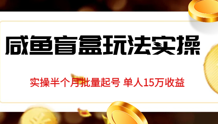 独家首发咸鱼盲盒玩法实操，半个月批量起号单人15万收益揭秘-副业城