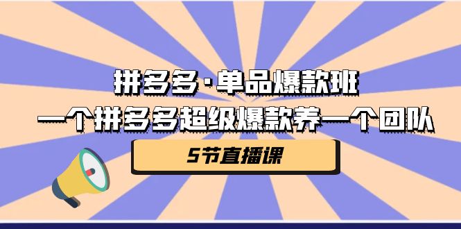 拼多多·单品爆款班，一个拼多多超级爆款养一个团队（5节直播课）-副业城