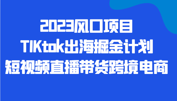 2023风口项目TIKtok出海掘金计划短视频直播带货跨境电商-副业城