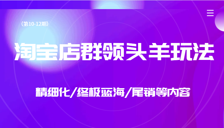 淘宝店群领头羊玩法，精细化/终极蓝海/尾销等内容（第10-12期）-副业城