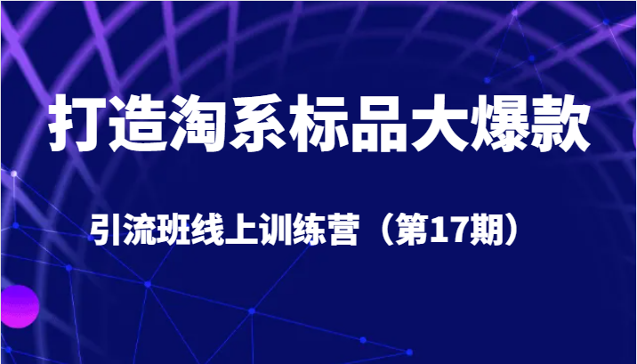 打造淘系标品大爆款引流班线上训练营（第17期）5天直播授课+1个月答疑-副业城