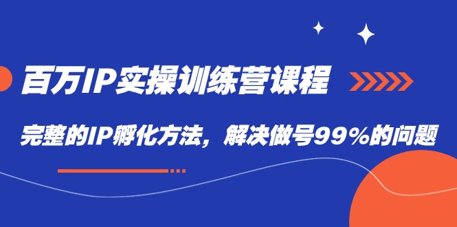 百万IP实战训练营课程，完整的IP孵化方法，解决做号99%的问题-副业城