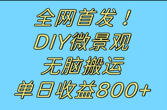 全网首发冷门赛道！DIY微景观，无脑搬运视频，日收益800+-副业城