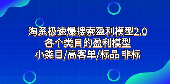 淘系极速爆搜索盈利模型2.0，各个类目的盈利模型，小类目/高客单/标品 非标-副业城