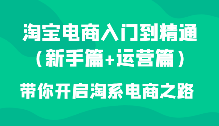 淘宝电商入门到精通（新手篇+运营篇）带你开启淘系电商之路-副业城