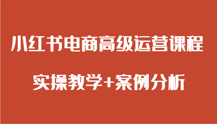 小红书电商高级运营课程 实操教学+案例分析-副业城