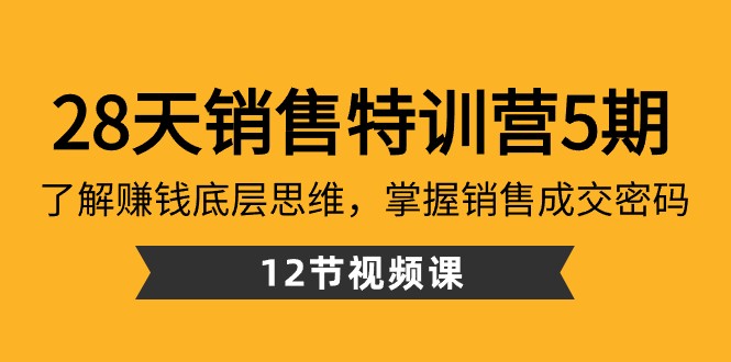 28天销售特训营5期：了解赚钱底层思维，掌握销售成交密码（12节课）-副业城