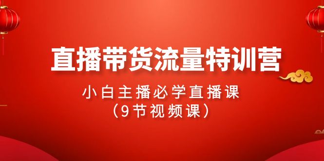 2024直播带货流量特训营，小白主播必学直播课（9节视频课）-副业城