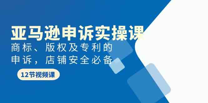 亚马逊申诉实战课，商标、版权及专利的申诉，店铺安全必备-副业城