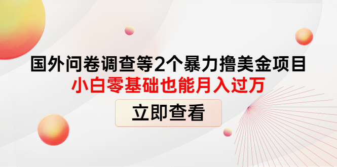 （4062期）国外问卷调查等2个暴力撸美金项目，小白零基础也能月入过万-副业城