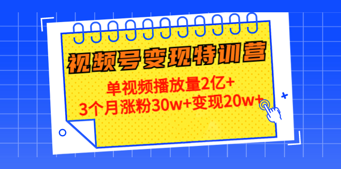 （4455期）20天视频号变现特训营：单视频播放量2亿+3个月涨粉30w+变现20w+-副业城