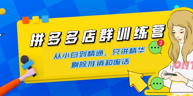 （4318期）拼多多店群训练营：从小白到精通，只讲精华，剔除推销和废话-副业城