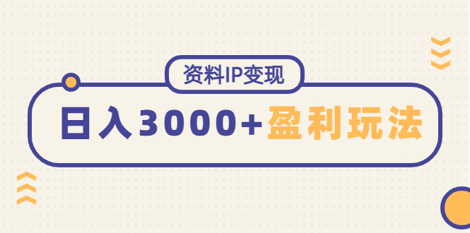 （4576期）资料IP变现，能稳定日赚3000起的持续性盈利玩法-副业城