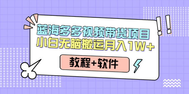 （4343期）人人都能操作的蓝海多多视频带货项目 小白无脑搬运月入10000+（教程+软件）-副业城