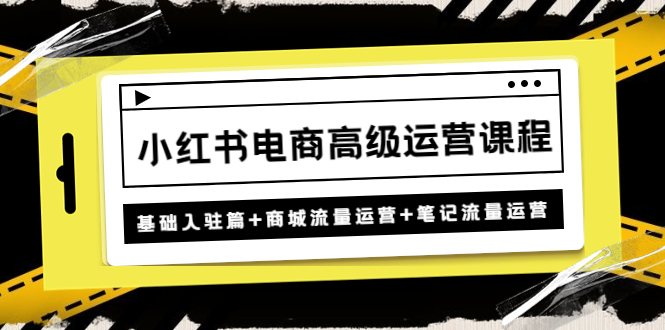 （4638期）小红书电商高级运营课程：基础入驻篇+商城流量运营+笔记流量运营-副业城