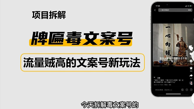 （4676期）2023抖音快手毒文案新玩法，牌匾文案号，起号快易变现-副业城