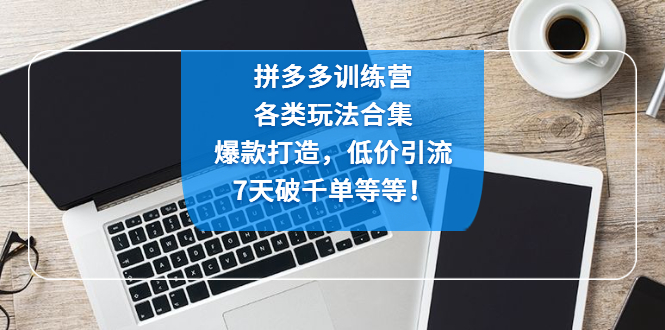 （4693期）拼多多训练营：各玩法合集，爆款打造，低价引流，7天破千单等等！-副业城