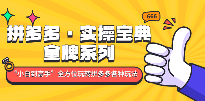 （4934期）拼多多·实操宝典：金牌系列“小白到高手”带你全方位玩转拼多多各种玩法-副业城