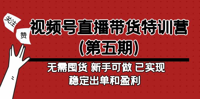 （4945期）视频号直播带货特训营（第五期）无需囤货 新手可做 已实现稳定出单和盈利-副业城