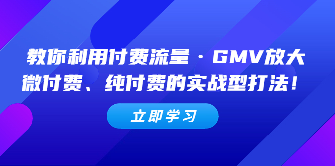 （5106期）教你利用付费流量·GMV放大，微付费、纯付费的实战型打法！-副业城