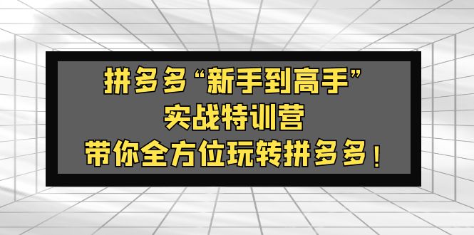 （5173期）拼多多“新手到高手”实战特训营：带你全方位玩转拼多多！-副业城