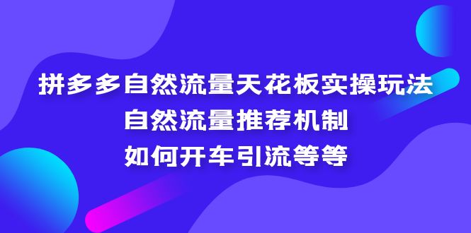 （5327期）拼多多自然流量天花板实操玩法：自然流量推荐机制，如何开车引流等等-副业城