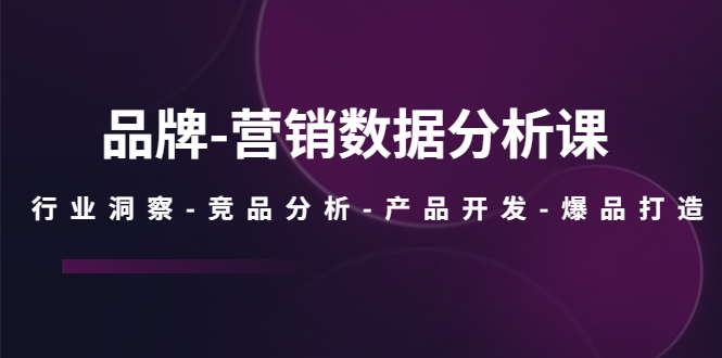 （5565期）品牌-营销数据分析课，行业洞察-竞品分析-产品开发-爆品打造-副业城