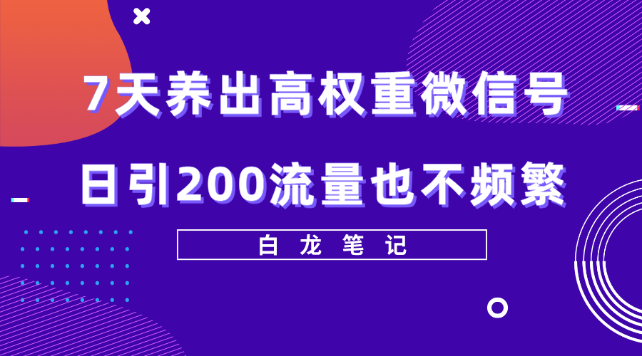 （5630期）7天养出高权重微信号，日引200流量也不频繁，方法价值3680元-副业城