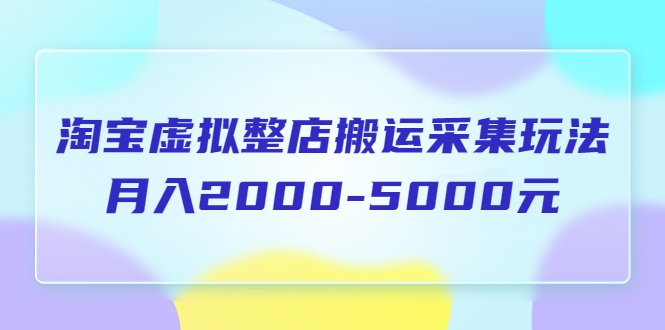 （5931期）淘宝虚拟整店搬运采集玩法分享课：月入2000-5000元（5节课）-副业城