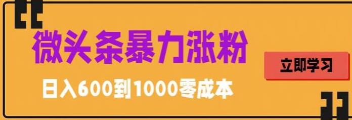 （5950期）微头条暴力涨粉技巧搬运文案就能涨几万粉丝，简单0成本，日赚600-副业城