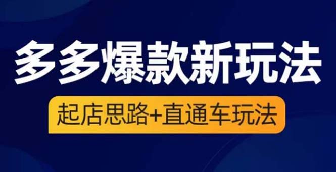 （6028期）2023拼多多爆款·新玩法：起店思路+直通车玩法（3节精华课）-副业城