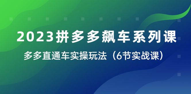 （6030期）2023拼多多飙车系列课，多多直通车实操玩法（6节实战课）-副业城