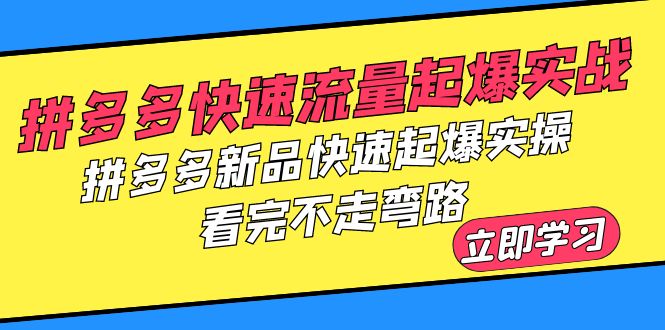 （6253期）拼多多-快速流量起爆实战，拼多多新品快速起爆实操，看完不走弯路-副业城