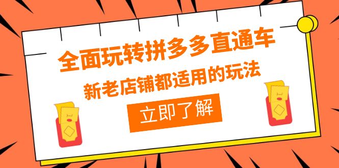 （6294期）全面玩转拼多多直通车，新老店铺都适用的玩法（12节精华课）-副业城