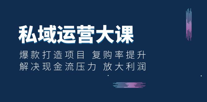 （6455期）私域运营大课：爆款打造项目 复购率提升 解决现金流压力 放大利润-副业城