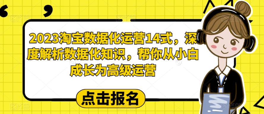 （6475期）2023淘宝数据化-运营 14式，深度解析数据化知识，帮你从小白成长为高级运营-副业城