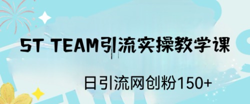 （6578期）ST TEAM引流实操课，日引流网创粉100+-副业城