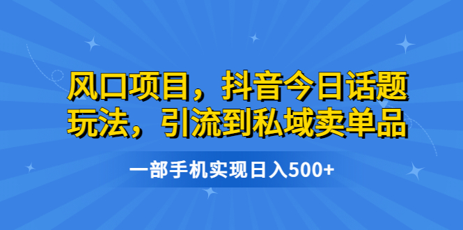 （6588期）风口项目，抖音今日话题玩法，引流到私域卖单品，一部手机实现日入500+-副业城