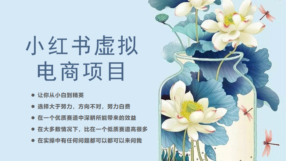 （6607期）小红书虚拟电商从0到1，让你从小白到精英（20节实操课程）-副业城