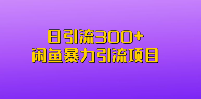 （6694期）日引流300+闲鱼暴力引流项目-副业城