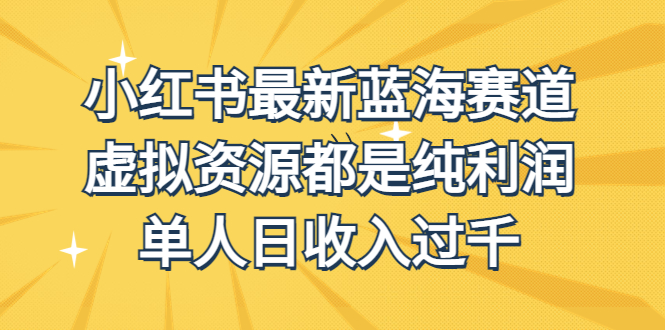 （6721期）外面收费1980的小红书最新蓝海赛道，虚拟资源都是纯利润，单人日收入过千-副业城