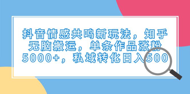 （6758期）抖音情感共鸣新玩法，知乎无脑搬运，单条作品涨粉5000+，私域转化日入500-副业城