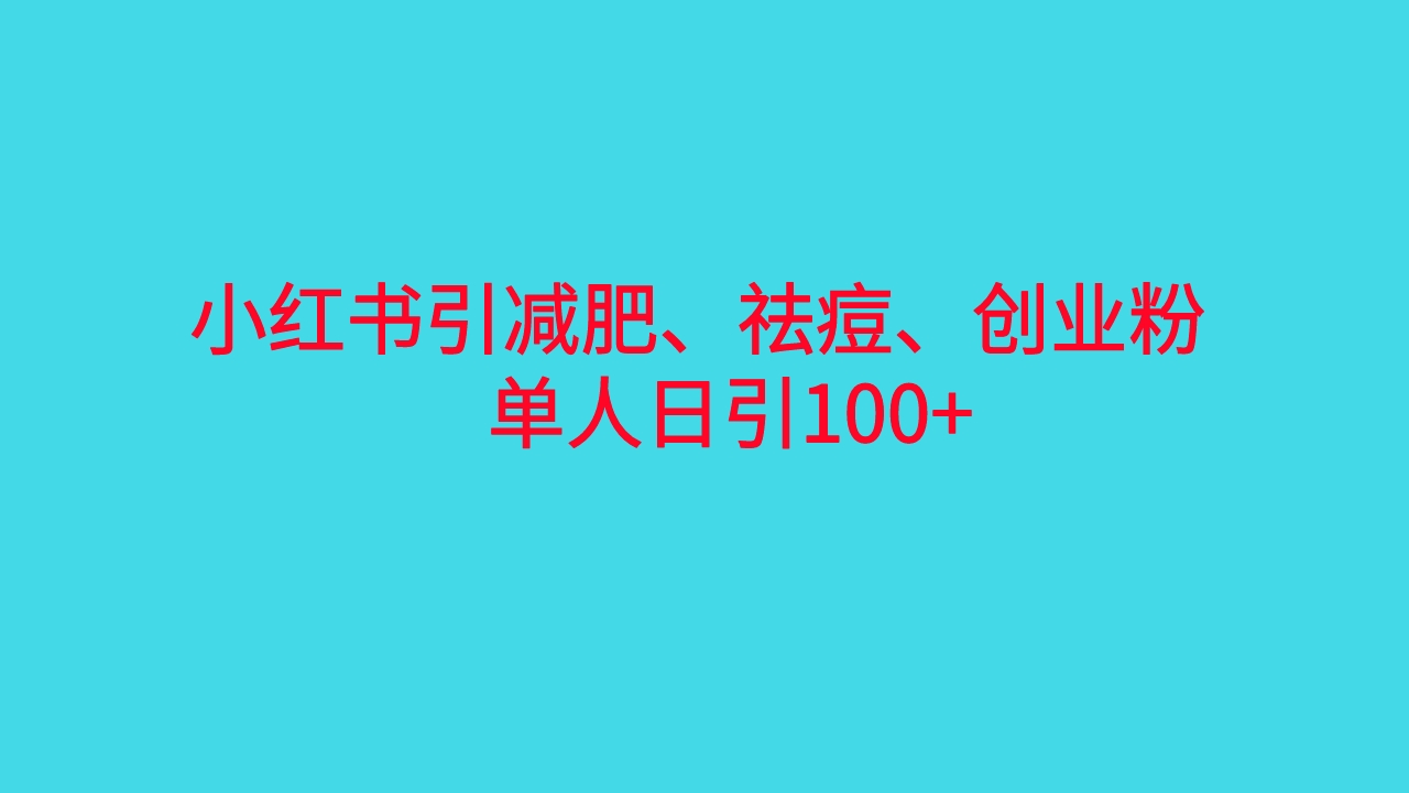 （6799期）小红书精准引流，减肥、祛痘、创业粉单人日引100+（附软件）-副业城