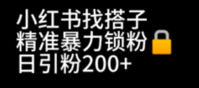 （6807期）小红书找搭子暴力精准锁粉+引流日引200+精准粉-副业城