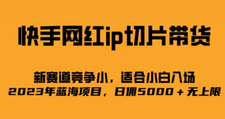 （6832期）快手网红ip切片新赛道，竞争小事，适合小白  2023蓝海项目-副业城